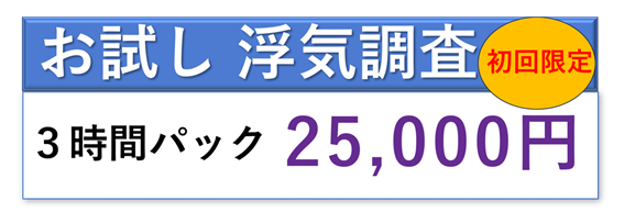 お試し浮気調査